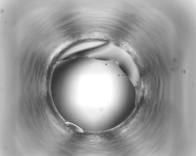 X0000088910392200706221935