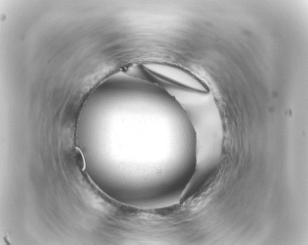 X0000088910393200706221935