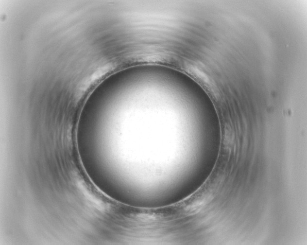 X0000088910394200706221935