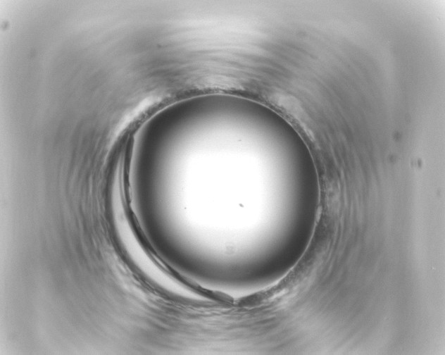 X0000088910395200706221935