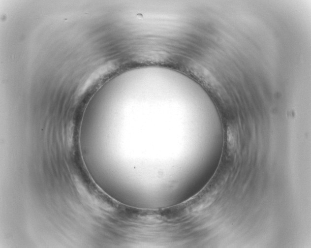 X0000088910396200706221935