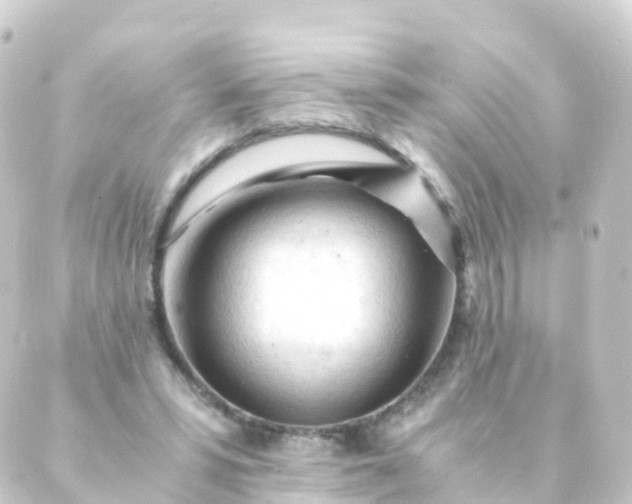 X0000088910399200706221934