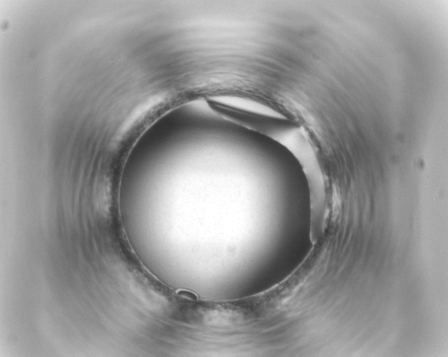 X0000088910400200706221934