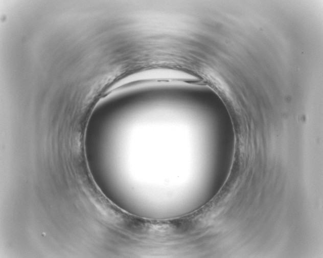 X0000088910401200706221934