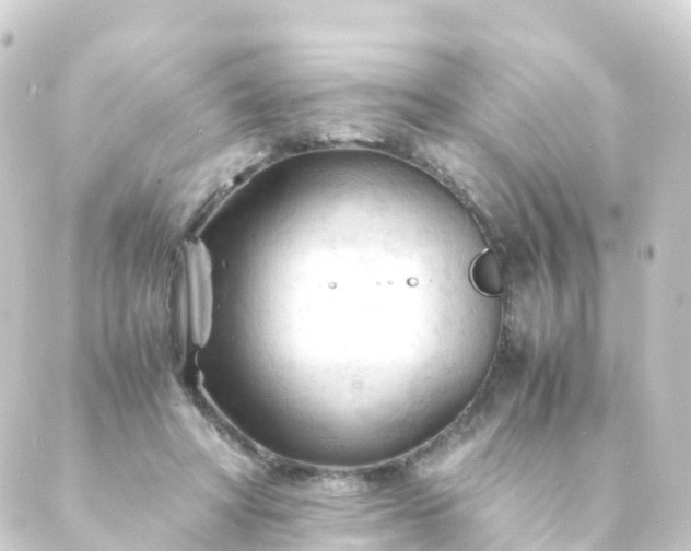 X0000088910402200706221934