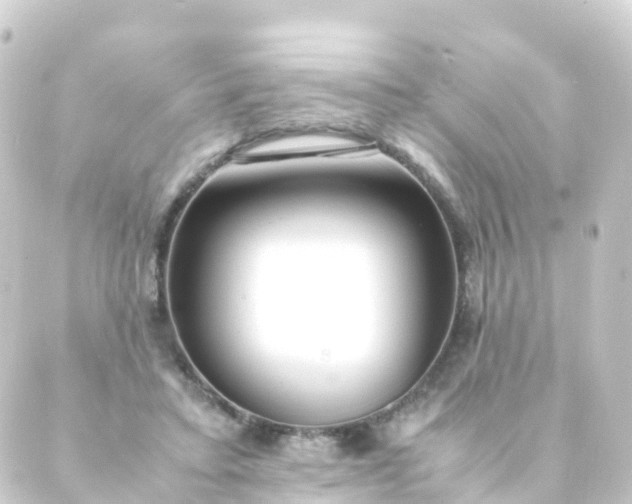 X0000088910403200706221934