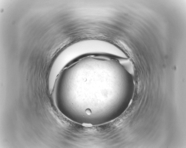 X0000088910405200706221934