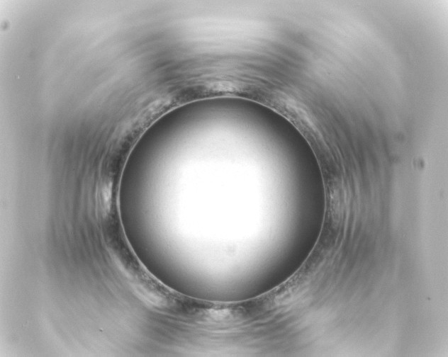 X0000088910406200706221934