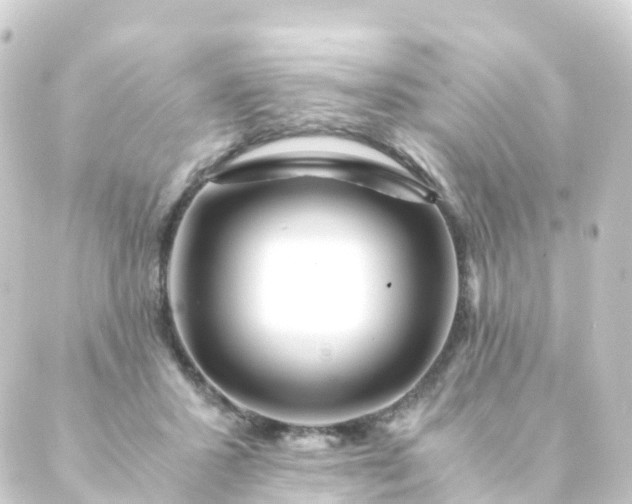 X0000088910407200706221934