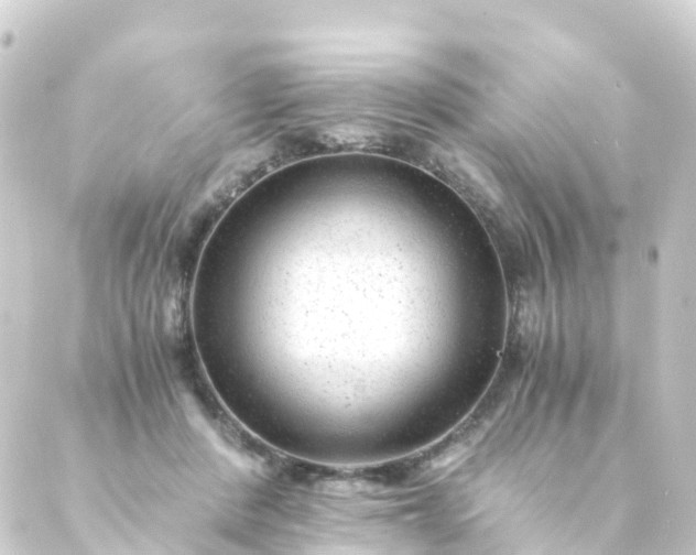 X0000088910408200706221934