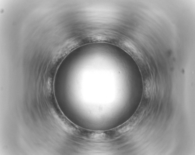 X0000088910410200706221934