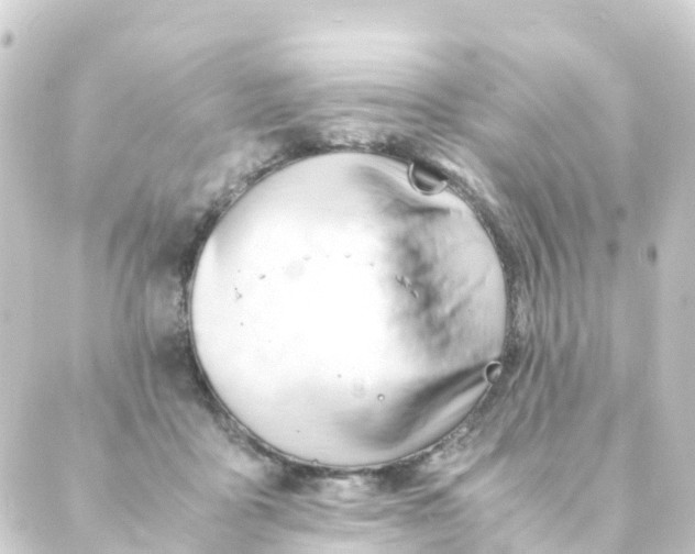 X0000088910411200706221934