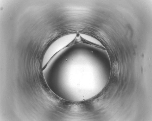 X0000088910412200706221934