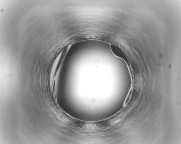 X0000088910413200706221934