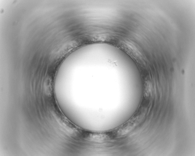 X0000088910414200706221934