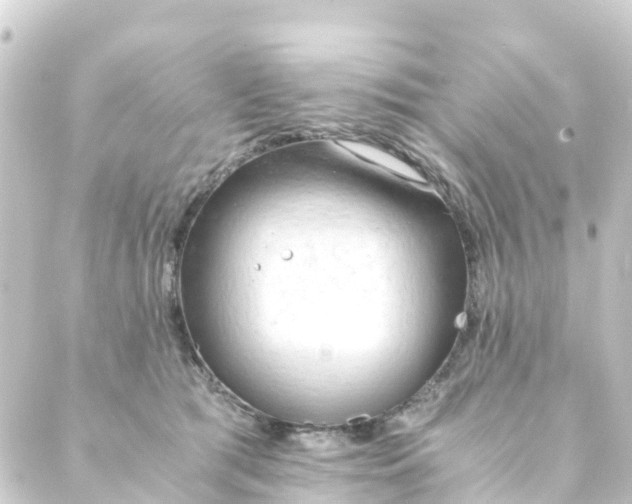 X0000088910417200706221934