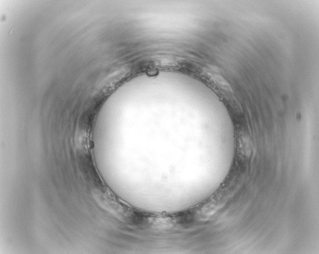 X0000088910419200706221934