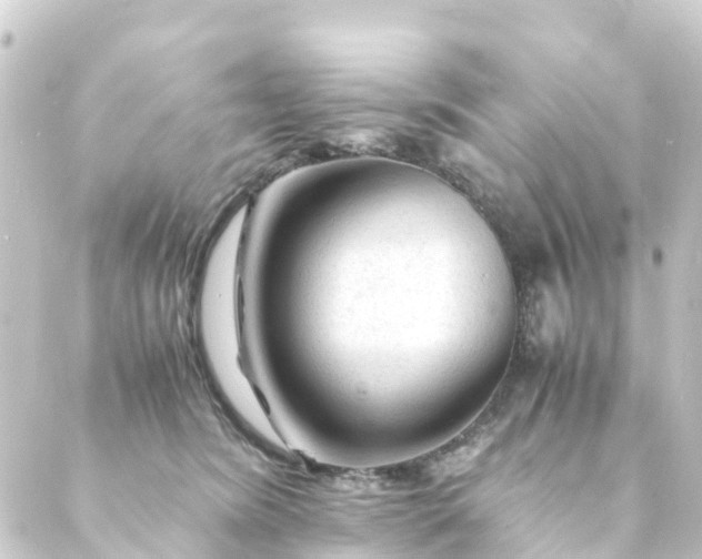 X0000088910420200706221934