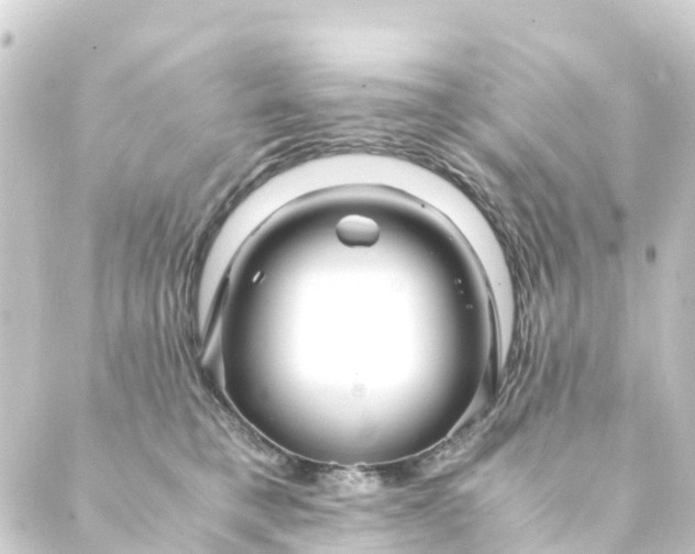 X0000088910421200706221934