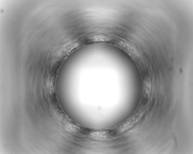 X0000088910422200706221934