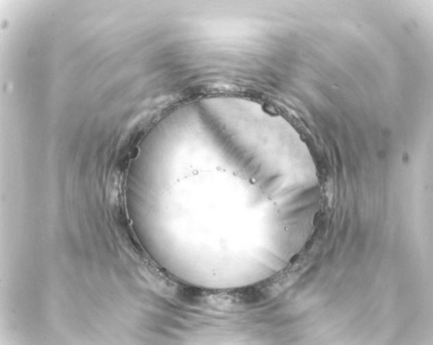 X0000088910423200706221934