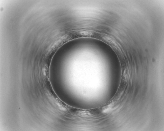 X0000088910424200706221934