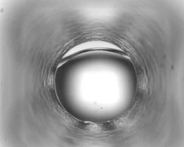 X0000088910425200706221934