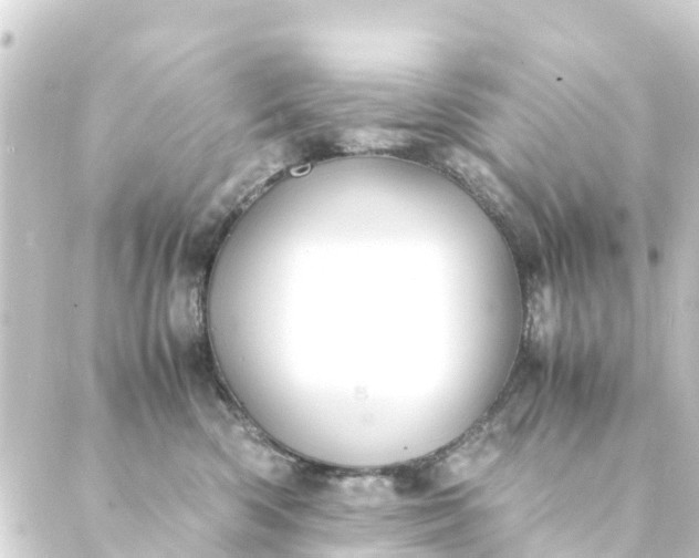 X0000088910426200706221934