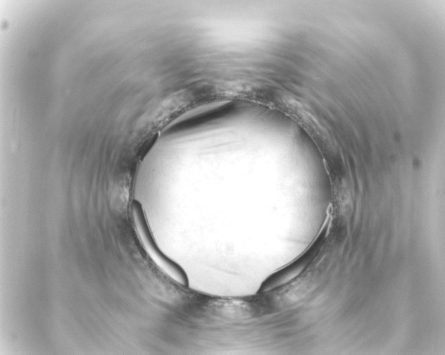 X0000088910427200706221934