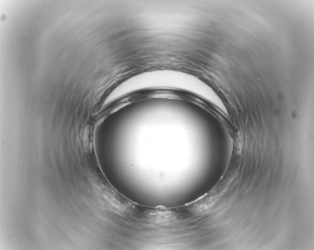 X0000088910428200706221934