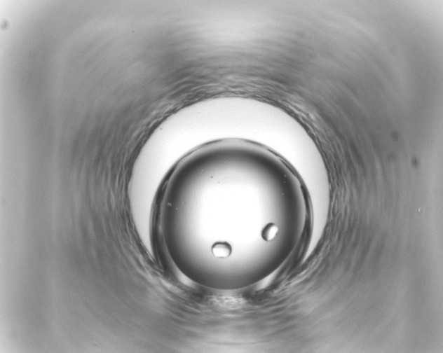 X0000088910429200706221934