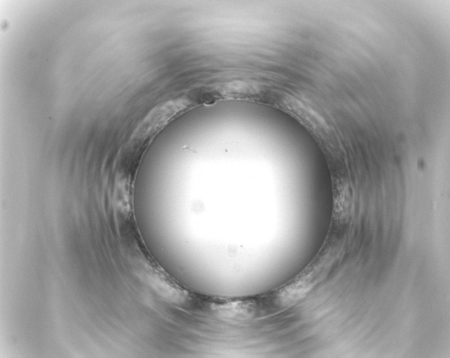 X0000088910430200706221934