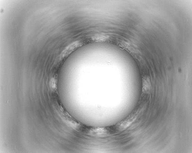 X0000088910431200706221934