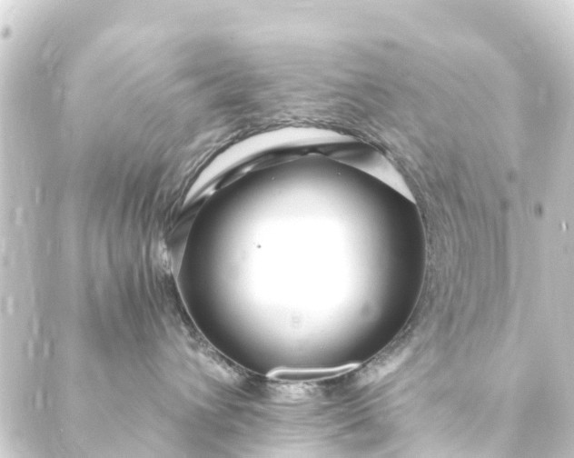 X0000088910432200706221934