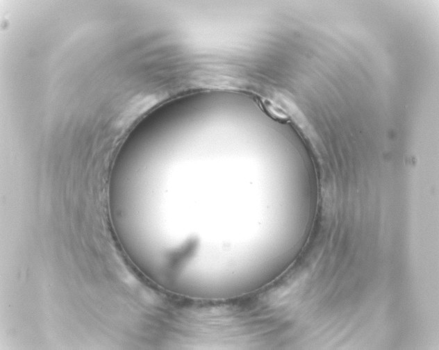 X0000088910433200706221933