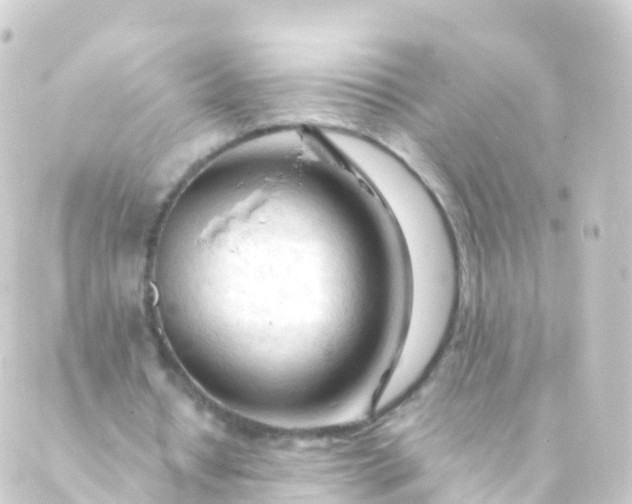 X0000088910434200706221933