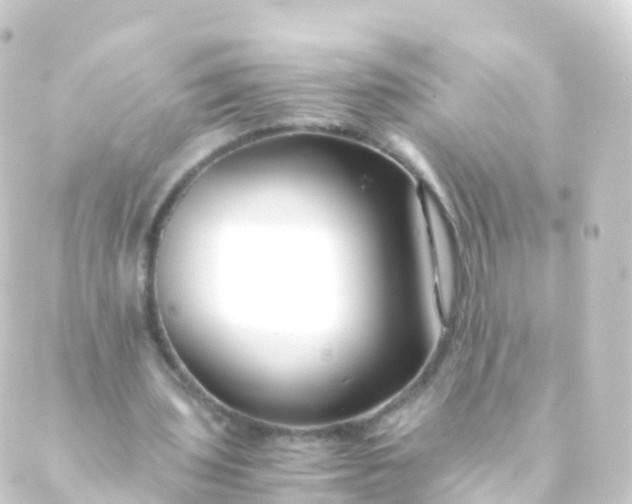 X0000088910435200706221933