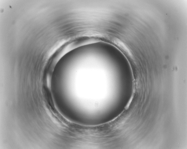 X0000088910436200706221933