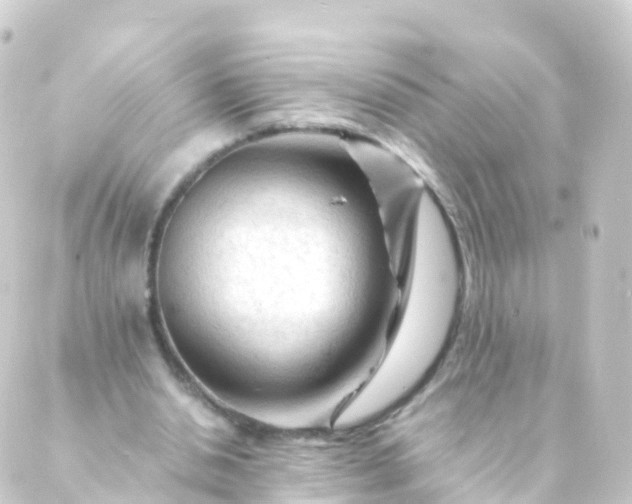 X0000088910438200706221933