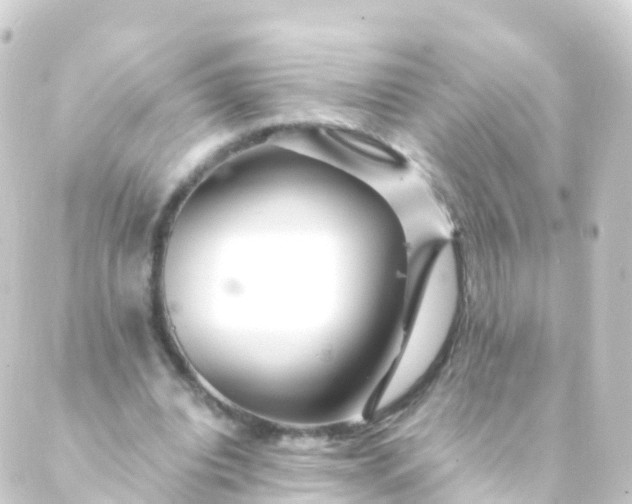 X0000088910440200706221933