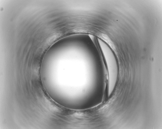 X0000088910441200706221933