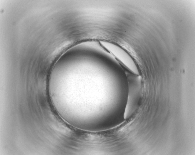 X0000088910442200706221933