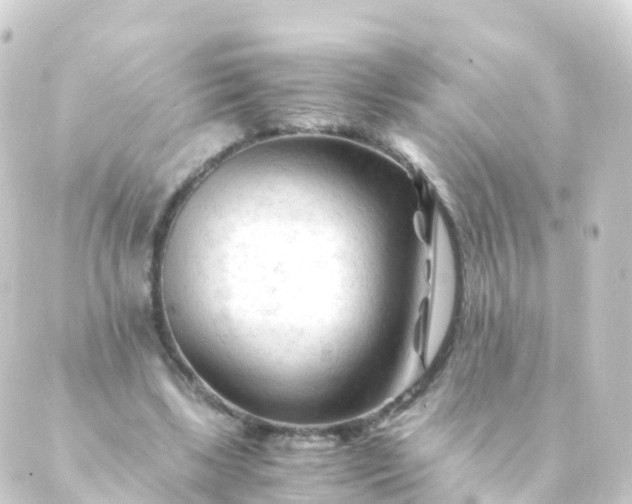 X0000088910443200706221933