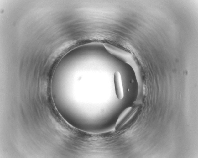 X0000088910444200706221933