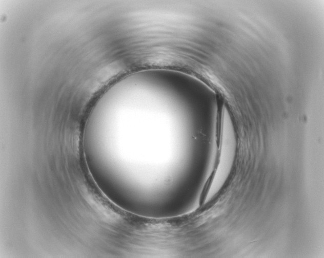 X0000088910446200706221933