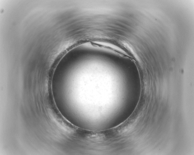 X0000088910447200706221933