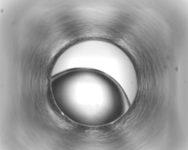 X0000088910448200706221933