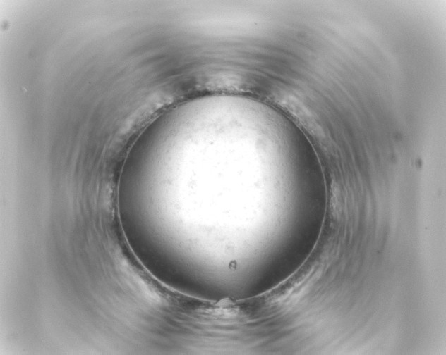 X0000088910449200706221933