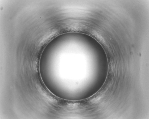 X0000088910450200706221933