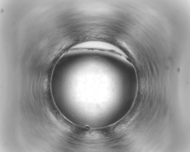 X0000088910451200706221933